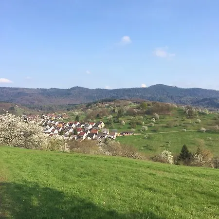 Apartament Ferienwohnung Brack Gaggenau